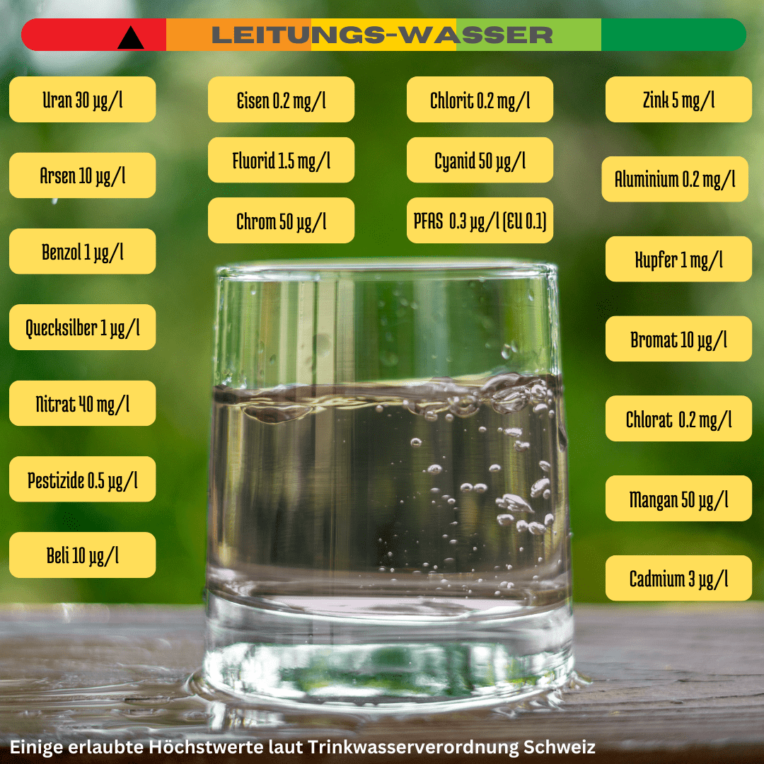 Mittig steht ein Glas mit klarem Leitungswasser auf einem Holztisch, umgeben von Listen verschiedener erlaubter Stoffwerte in gelben Feldern.