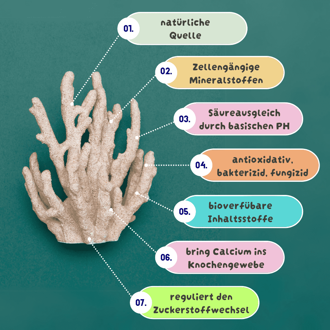 Eine weißliche, verzweigte Koralle steht auf grünem Hintergrund, mit sieben farbigen Textfeldern, die Vorteile aufzählen.