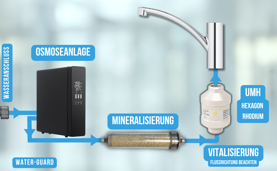 SlimFlow Bundle: rein, schlank, mineralisiert & vitalisiert